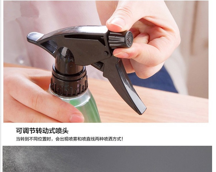 振兴pt019 清洁小喷壶 家居按压式喷雾洒水壶 养花浇花壶_振兴/zenxin